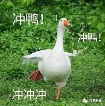 DƬ